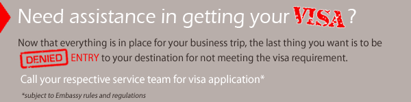 visa application